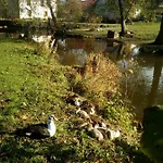 Biofarma Dolejsi Mlyn