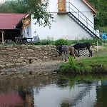 Gospodarstwo agroturystyczne Biofarma Dolejsi Mlyn *