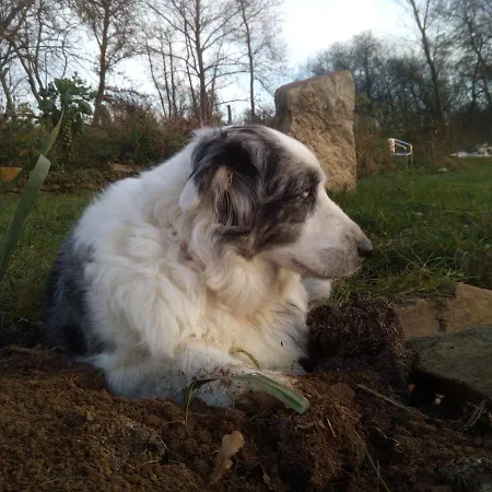 Biofarma Dolejsi Mlyn