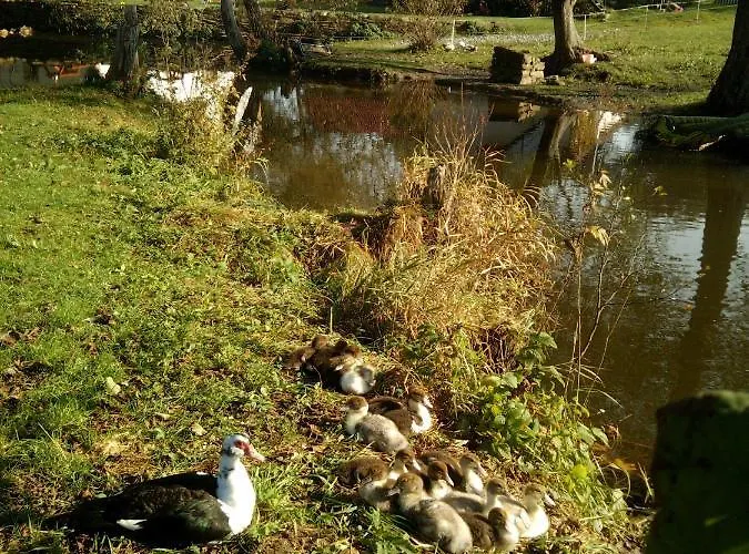 Biofarma Dolejsi Mlyn