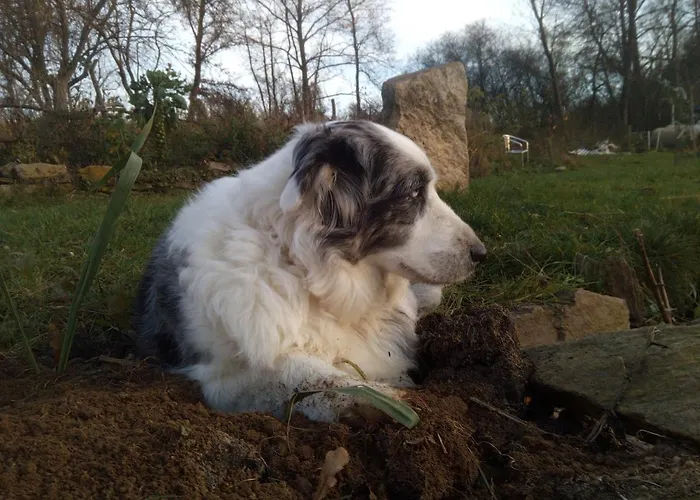 Biofarma Dolejsi Mlyn