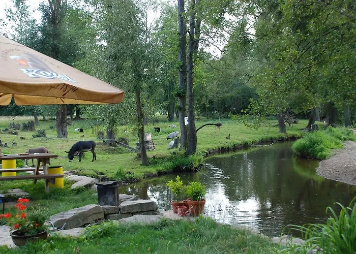 Gospodarstwo agroturystyczne Biofarma Dolejsi Mlyn