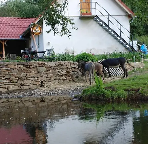 Farma Biofarma Dolejsi Mlyn *